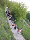 Kliknij aby obejrzec w pelnym rozmiarze 